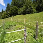 Mountain House Minka *