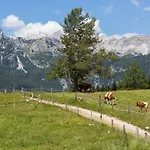 Mountain House Minka Srednja Vas v Bohinju