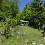 Alpehytte Mountain House Minka