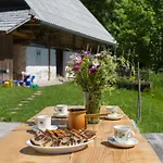 Mountain House Minka Chalet