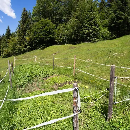 Mountain House Minka *