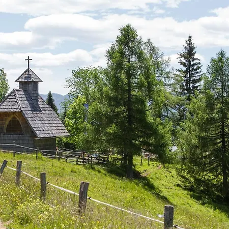 شاليه Mountain House Minka Srednja Vas v Bohinju
