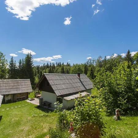 Mountain House Minka Srednja Vas v Bohinju