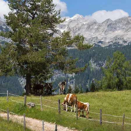 شاليه Mountain House Minka Srednja Vas v Bohinju