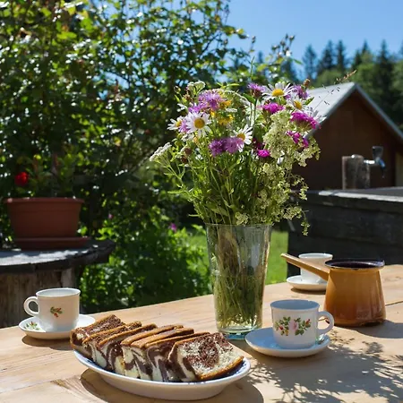 شاليه Mountain House Minka *