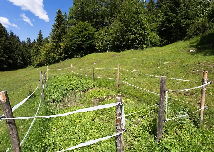 Mountain House Minka *