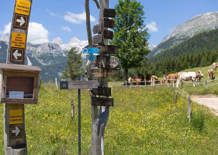 Mountain House Minka Srednja Vas v Bohinju