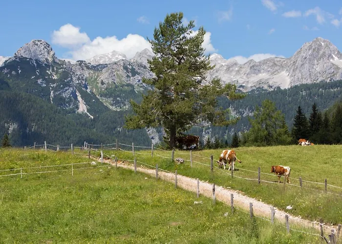 Mountain House Minka Srednja Vas v Bohinju