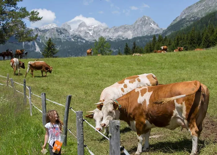 شاليه Mountain House Minka *