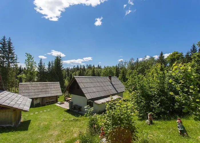 Mountain House Minka Srednja Vas v Bohinju