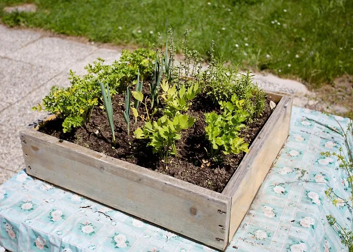 Mountain House Minka Srednja Vas v Bohinju