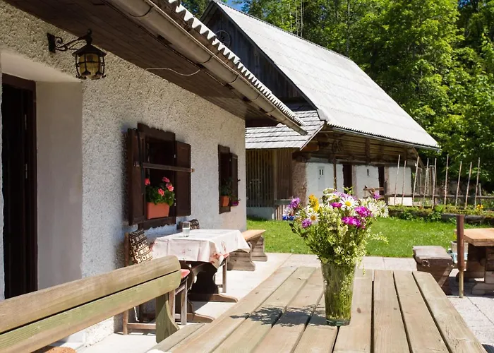 Domek alpejski Mountain House Minka *