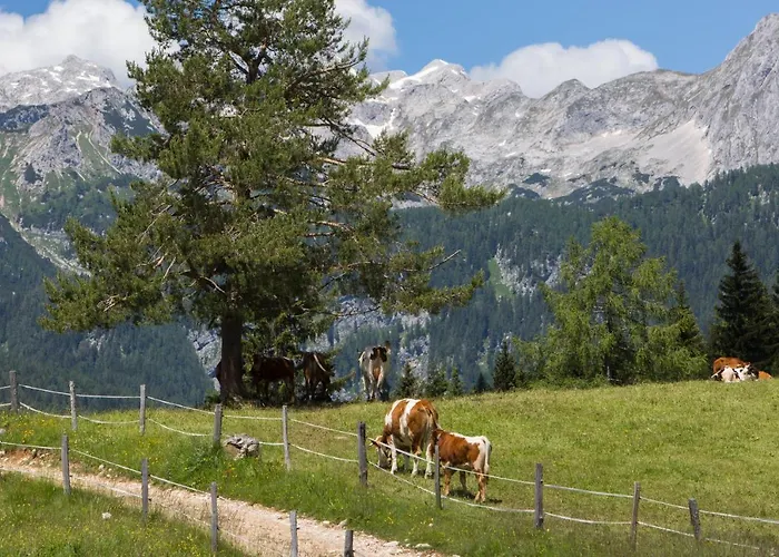 شاليه Mountain House Minka Srednja Vas v Bohinju